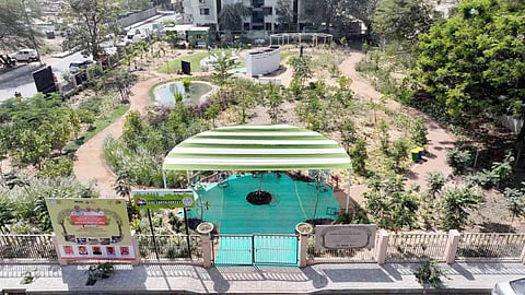 Jade Earth Forest: Gujarat’s FIRST community urban forest launched in Ahmedabad