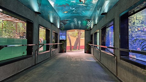 Ahmedabad’s Sundarvan Mini Zoo unveils new aquarium, featuring native and exotic fishes