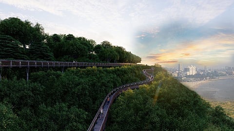 Mumbai's first elevated forest walkway to soon welcome visitors, with ₹25 entry fee