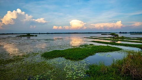 218 km from Mumbai yet a world away! Nandur Madhyameshwar beckons for a vibrant March retreat