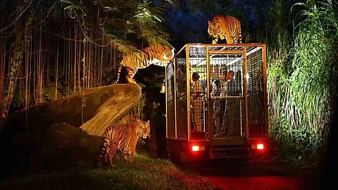 ₹206 cr released to launch Kukrail Night Safari Project in Lucknow; Phase 1 work to begin soon