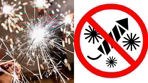 Mumbai Police enforces citywide firecracker ban from May 11 to June 9; know why
