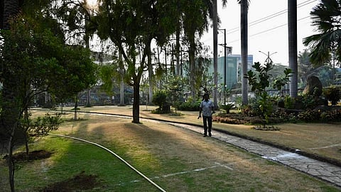 Andheri's new 3.5 acre urban forest brings down local temperature by nearly 4°C
