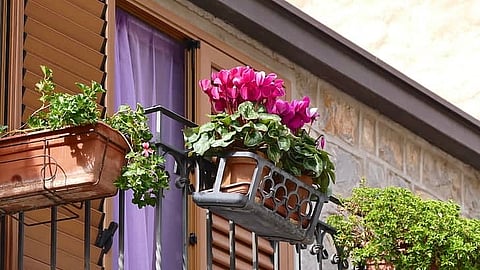 Lucknow News | Effective immediately, LDA bans flowerpots on balconies, railings & parapets