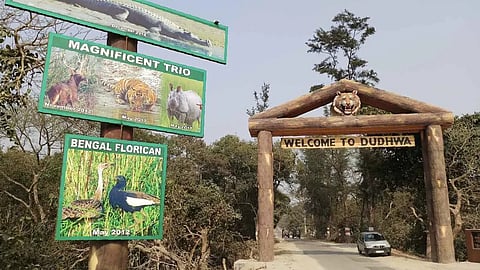 UP's national parks and tiger reserves to shut from June 15 till Oct 31; know why