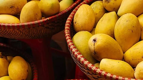 UP Mango Festival 2025: 600+ varieties to delight Lucknow from July 4-6