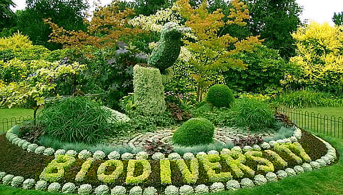 Lucknow's FIRST bio-diversity park to come up in Gomti Nagar | Details