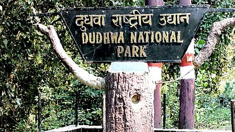 Tiger reserves & national parks in UP to open from November 1: Details