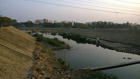 Can 'Urmila Van' revive Kukrail River? Lucknow’s 24-acre forest plan explained