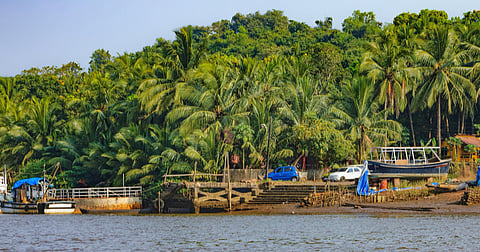Escape into the enchanting environs of Chorao island, away from the crowded locales in Goa!