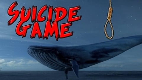Blue Whale game finds many takers in Lucknow; Counselling of kids on!