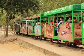 Now Enjoy A Guided Tour In The Lucknow Zoo, With E-Guides To Your Rescue