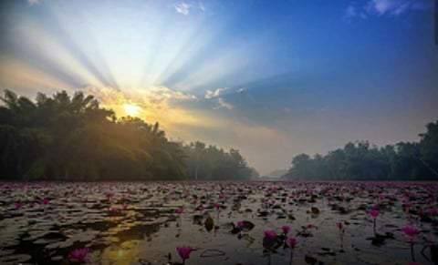Gulawat Lotus valley is the perfect weekend getaway from Indore!