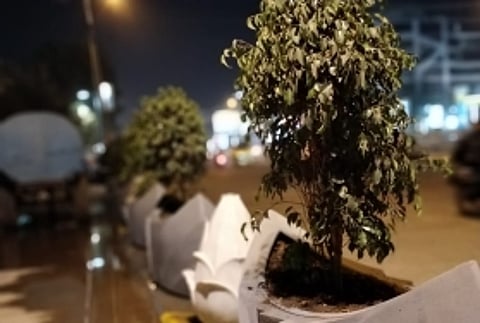 Indore roads get beautified with stunning flower pots ahead of Swachhta survey