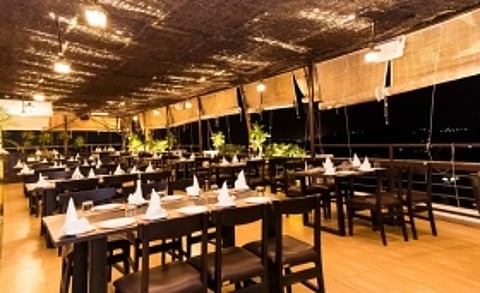 Papaya Tree Hotel in Indore is blending Brunches with live music and it's making our Sundays better