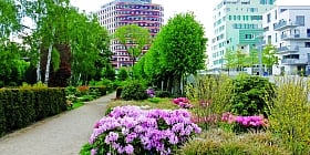 Indore gears up to receive a wider green cover as part of smart city makeover