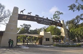 The Indore Reptile House is where you've got to take your guests the next time they're in town