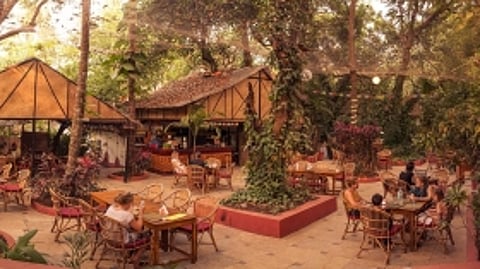 Bean Me Up in Vagator is introducing Goa to delicious & healthy vegetarian delights