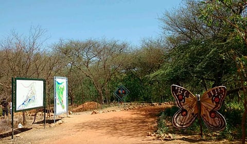 Jaipur's favourite jogging park set to open after four long months
