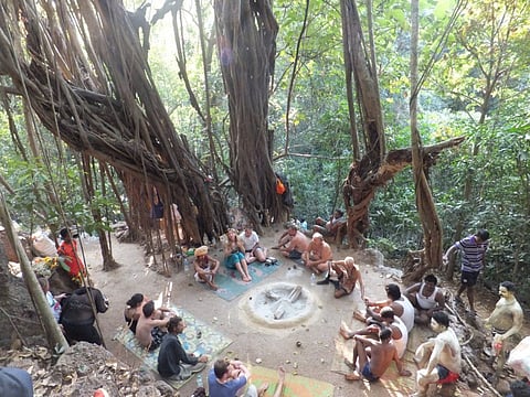Over a century old Banyan Tree in Goa gets a new lease of life after being uprooted