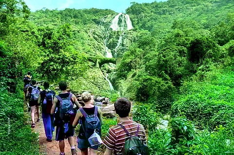 Goa's Dudhsagar Falls now open for trekkers; jeep safaris to be accessible soon