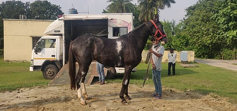 Two royal bred horses added to Lucknow's La Martiniere College's stable