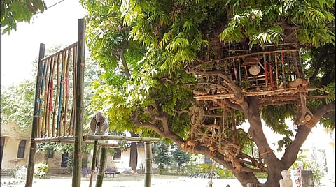 Lucknow University campus gets a makeover to honour its centenary year