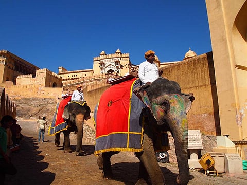 Rajasthan Govt grants permission for Elephant rides at Jaipur's Amer Fort & Hathi Gaon