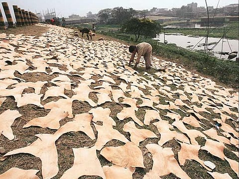 Upcoming large-scale leather park in Kanpur to create new job opportunities for public