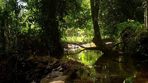 A day-out at the Bondla Wildlife Sanctuary will reveal an unseen dimension in Goa