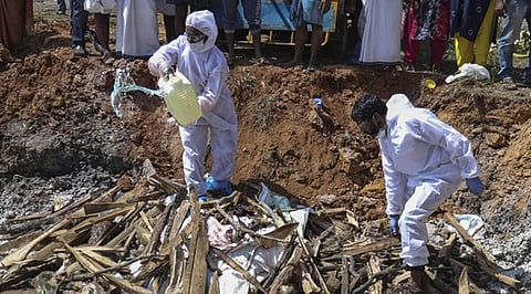 Avian flu strain detected in Indore & Neemuch; state government issues closure of poultry shops