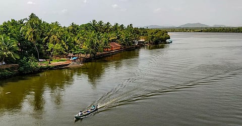 Unleash the adventurer in you & embark upon a safari in the backwaters of Goa's Cumbarjua Canal