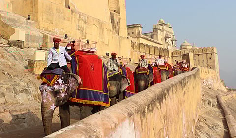 Assuring animal welfare, electric vehicle tours to replace elephant rides in Jaipur's Amer Fort