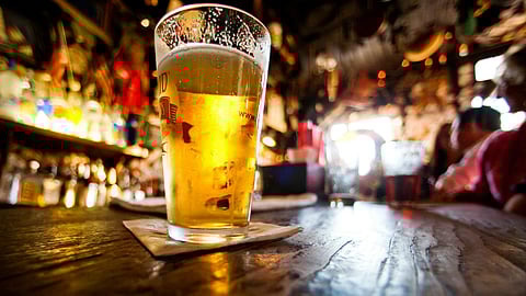 Beer to get cheaper in Jaipur & other districts of Rajasthan, April 1 onwards