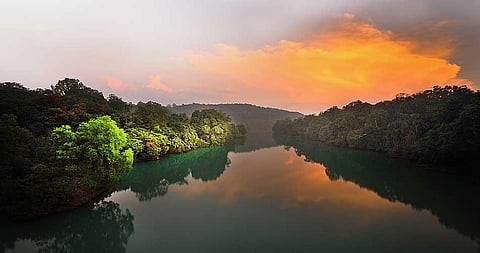 Planning an adventurous mini-vacation from Goa? Head to Dandeli and unleash the explorer within!