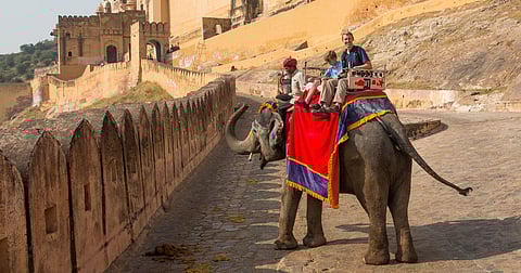 Rajasthan Government bans the usage of 20 sick elephants for rides at Jaipur's Amer Fort