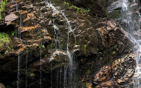 Pomburpa Spring is your spot for a perfect picnic in Goa