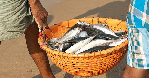 Scaling up potential of the fishing industry, 'Blue Revolution' in UP stimulates production