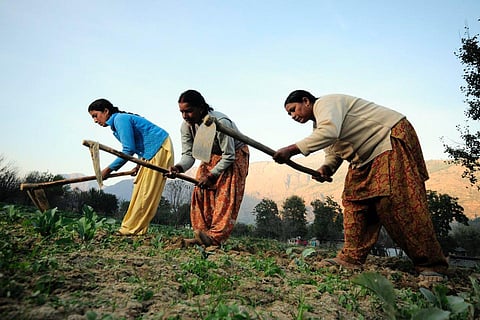 Female farmer-centric programmes under UP's Mission Shakti to mark Women's Day