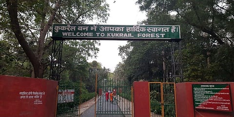 Catch a break from Lucknow's bustle & head to Kukrail Reserve Forest for a rendezvous with nature