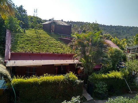 Home to umpteen winged beauties, Mystic Woods by Butterfly Conservatory of Goa is a visual treat!