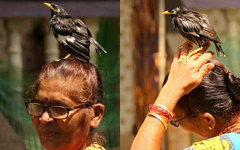 Goan woman's friendly snapshots with a Myna bird leaves netizens in a state of wonder!