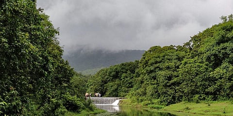 SC committee recommends halting rail expansion plans in Goa due to environmental concerns