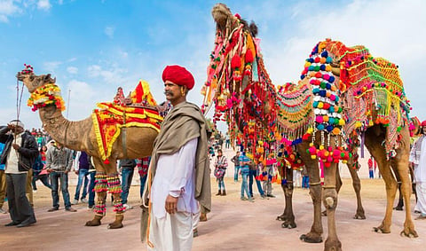 'Ships of the Desert' are making a  comeback in Jaipur & other Raj districts owing to travel curbs