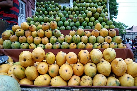Home delivery of mangoes in THIS Rajasthan district to help mango cultivators mitigate losses