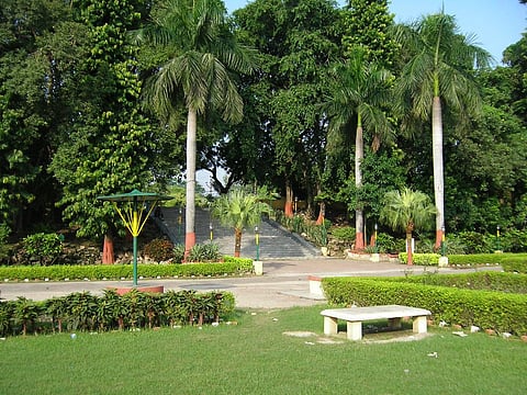 Almost 1 lakh trees to be planted in Lucknow to increase city's green cover & fight pollution