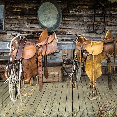 Saddle up to read about Kanpur's iconic leatherworking tradition that has put it on the world map