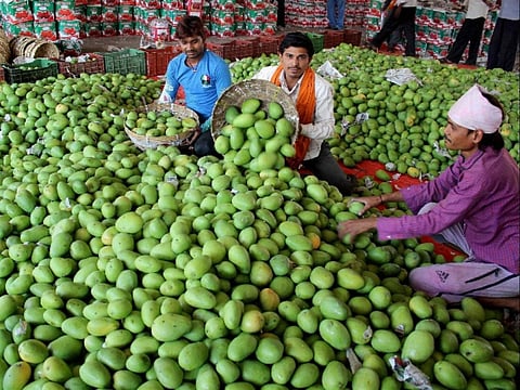 Centre's Cluster Development Programme to foster the mango belt in Lucknow & nearby areas