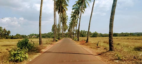 Online platform to facilitate commercial plantation of trees launched in Goa