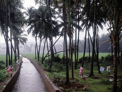 IMD tracks the arrival of Southwest Monsoon in Goa & Maharashtra by early next week